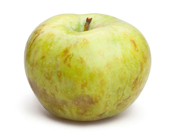 Złote Jabłko dojrzałe — Zdjęcie stockowe