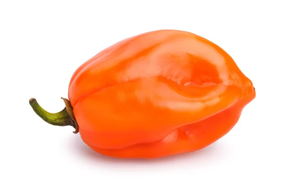 Delicious chili pepper — Stock Photo, Image