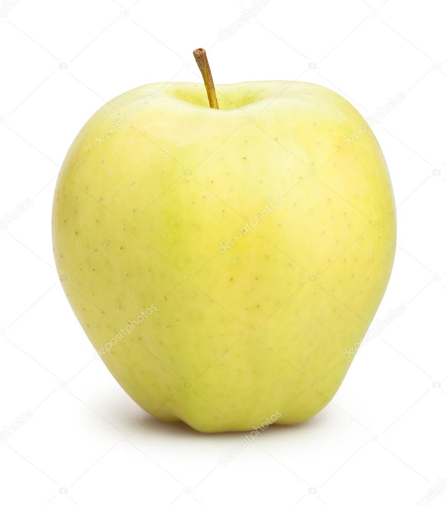 Golden ripe apple