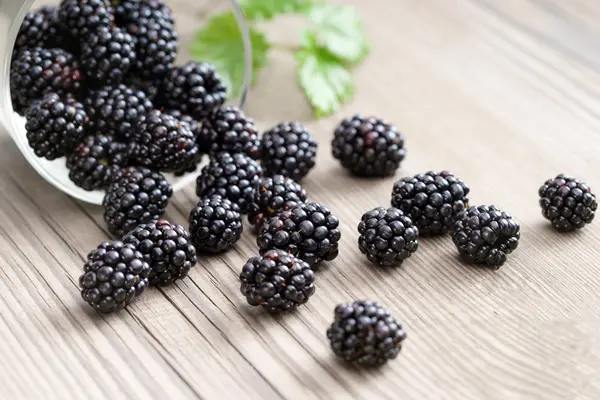 Blackberries in bowl on wooden background