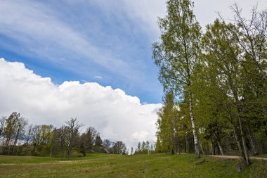 Manzara bahar Letonya.