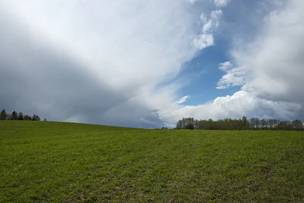 Landskapet i Lettland med åska himmel. — Stockfoto
