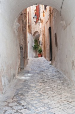 Ara sokakta. Kısrak başına polignano. Puglia. İtalya 