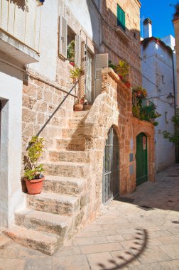 Ara sokakta. Kısrak başına polignano. Puglia. İtalya 