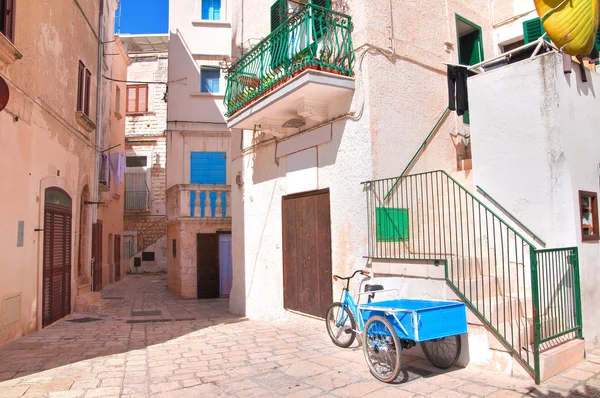 Callejuela. Polignano una yegua. Puglia. Italia — Foto de Stock