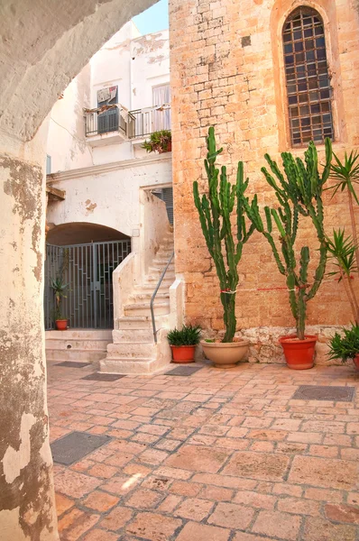 Une ruelle. Polignano une jument. Pouilles. Italie — Photo