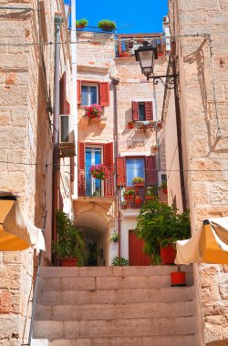 Ara sokakta. Kısrak başına polignano. Puglia. İtalya. 
