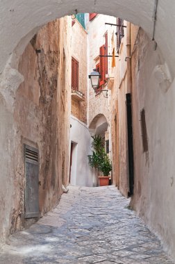 Ara sokakta. Kısrak başına polignano. Puglia. İtalya. 