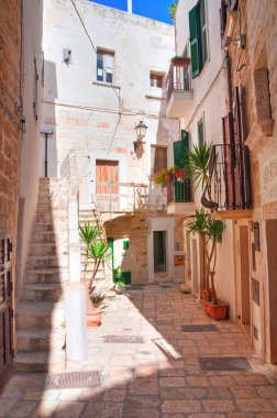 Ara sokakta. Kısrak başına polignano. Puglia. İtalya. 