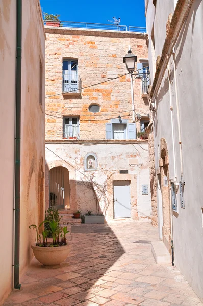 Callejuela. Polignano una yegua. Puglia. Italia . —  Fotos de Stock