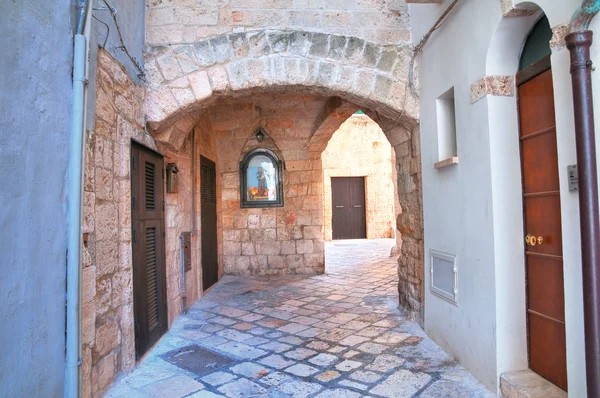 Callejuela. Polignano una yegua. Puglia. Italia . —  Fotos de Stock