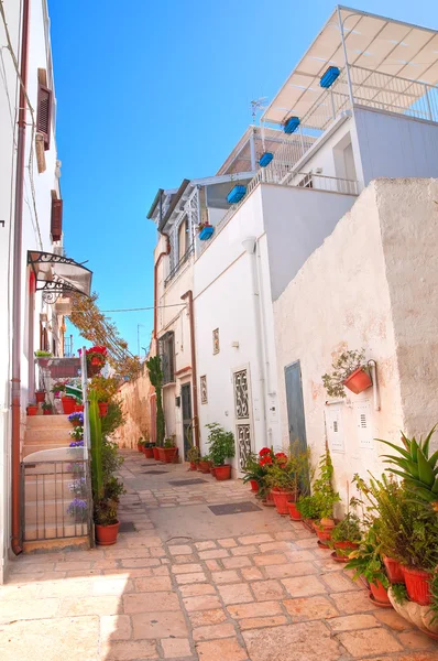 Ara sokakta. Kısrak başına polignano. Puglia. İtalya. — Stok fotoğraf