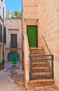 Ara sokakta. Kısrak başına polignano. Puglia. İtalya. 