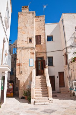 Ara sokakta. Kısrak başına polignano. Puglia. İtalya. 
