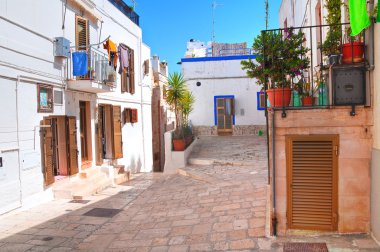 Ara sokakta. Kısrak başına polignano. Puglia. İtalya. 