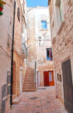 Ara sokakta. Kısrak başına polignano. Puglia. İtalya. 