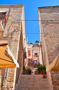 Ara sokakta. Kısrak başına polignano. Puglia. İtalya. 