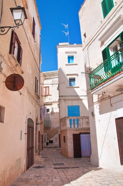 En gränd. Polignano är ett sto. Apulien. Italien. — Stockfoto