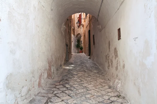 Para o beco. Polignano uma égua. Puglia. Itália . — Fotografia de Stock