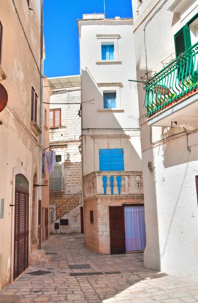 Gränd. Polignano ett sto. Apulien, Italien. — Stockfoto