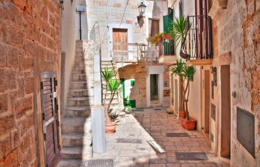 Ara sokakta. Kısrak başına polignano. Puglia. İtalya. 