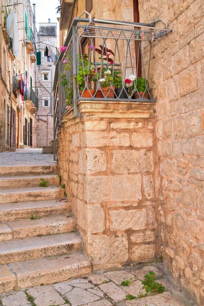Vicolo. Giovinazzo. Puglia. Italia . — Foto Stock