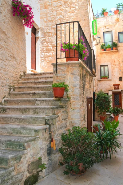 Steegje. Giovinazzo. Puglia. Italië. — Stockfoto