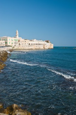 Molfetta 'nın panoramik görüntüsü. Puglia. İtalya. 