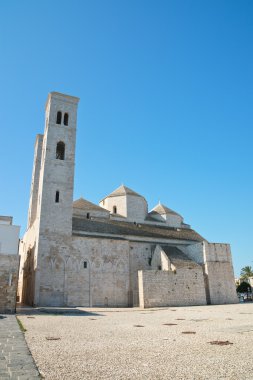 St. Corrado Duomo. Molfetta. Puglia. İtalya. 