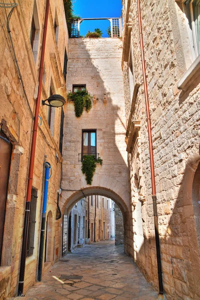 Gränd, Molfetta. Puglia. Italien. — Stockfoto