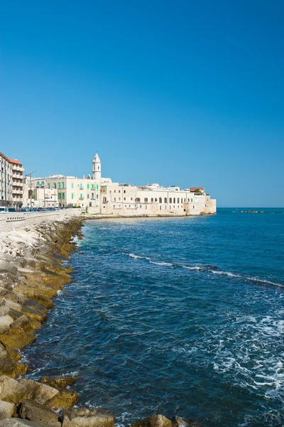 Molfetta 'nın panoramik görüntüsü. Puglia. İtalya. — Stok fotoğraf