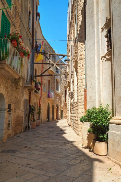 Callejuela. Molfetta. Puglia. Italia . — Foto de Stock