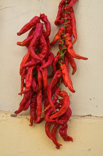 Pimentos picantes . — Fotografia de Stock