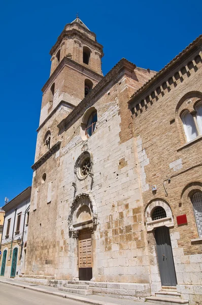 Chiesa di San Severino. San Severo. Puglia. Italia . — Foto Stock