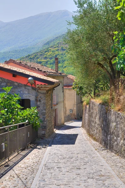 Aleja. Viggianello. Basilicata. Włochy. — Zdjęcie stockowe