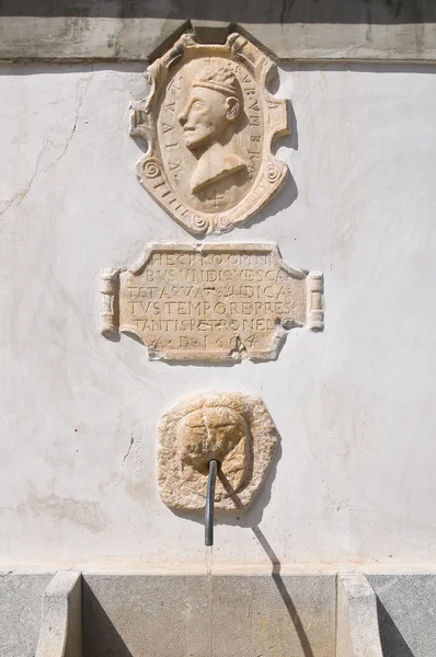 Monumentale fontein. Morano calabro. Calabria. Italië. — Stockfoto