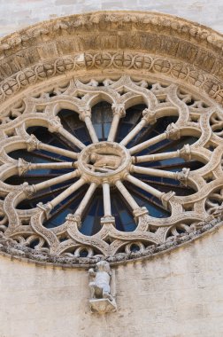 altamura, Duomo Katedrali. Puglia. İtalya.