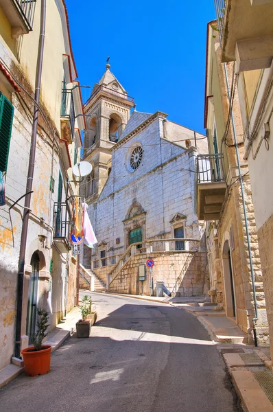 Kathedraal van assunta. Minervino murge. Puglia. Italië. — Stockfoto