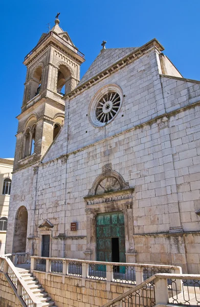 Cattedrale di Assunta. Minervino Murge. Puglia. Italia . — Foto Stock