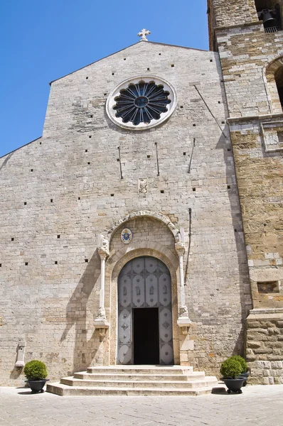 Catedral de Acerenza. Basilicata. Italia . —  Fotos de Stock