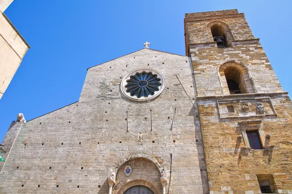 Catedral de Acerenza. Basilicata. Italia . —  Fotos de Stock