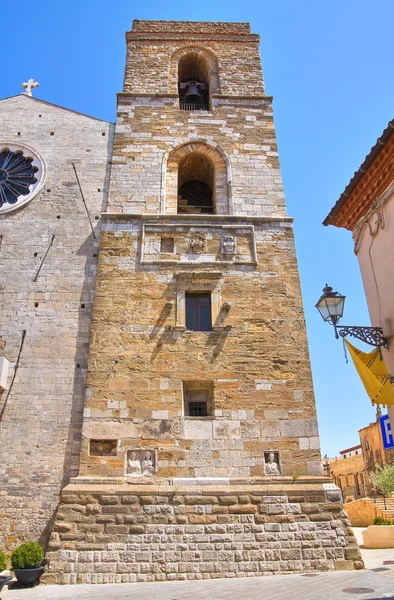 Katedralen i acerenza. Basilicata. Italien. — Stockfoto