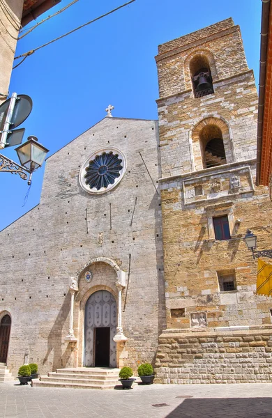 Katedralen i acerenza. Basilicata. Italien. — Stockfoto