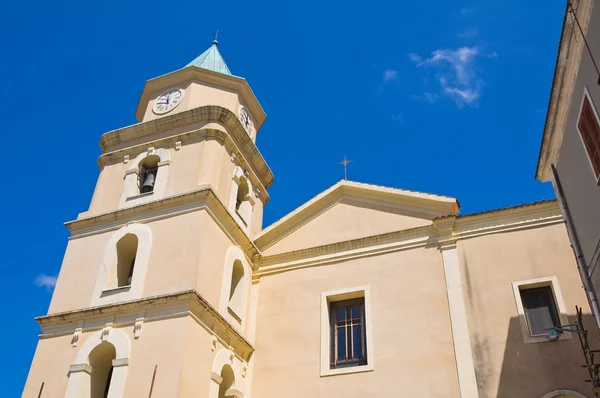 Viggianello anya templom. Basilicata. Olaszország. — Stock Fotó