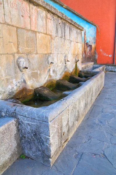 Anıtsal çeşme. Satriano di Lucania. İtalya. — Stok fotoğraf