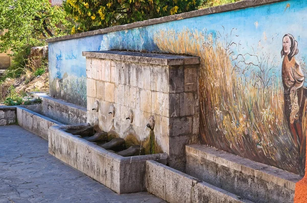 Monumental fountain. Satriano di Lucania. Italy. — Stock Photo, Image