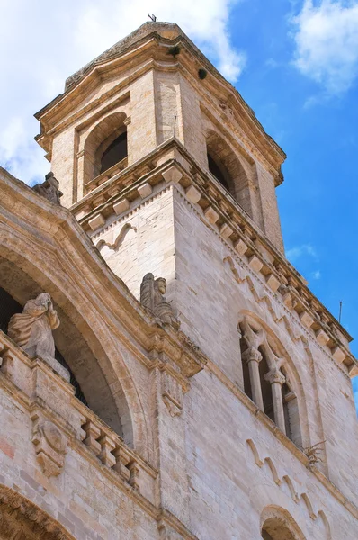Altamura 的大教堂。普利亚大区。意大利南部. — 图库照片