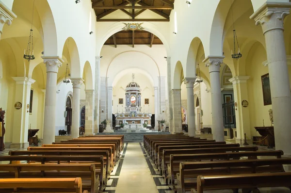 Catedral de Assunta. Minervino Murge. Puglia. Italia . —  Fotos de Stock