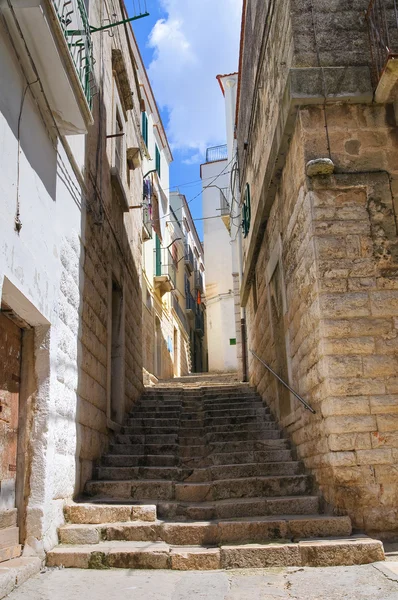 Steegje. Minervino murge. Puglia. Italië. — Stockfoto