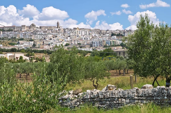 Panoramiczny widok minervino murge. Puglia. Włochy. — Zdjęcie stockowe